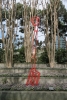 Nasher Scupture Center